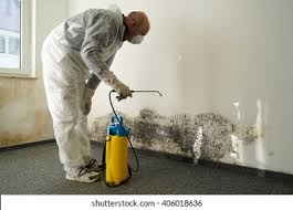 Mold Documentation for Insurance Claims in Lutherville, MD